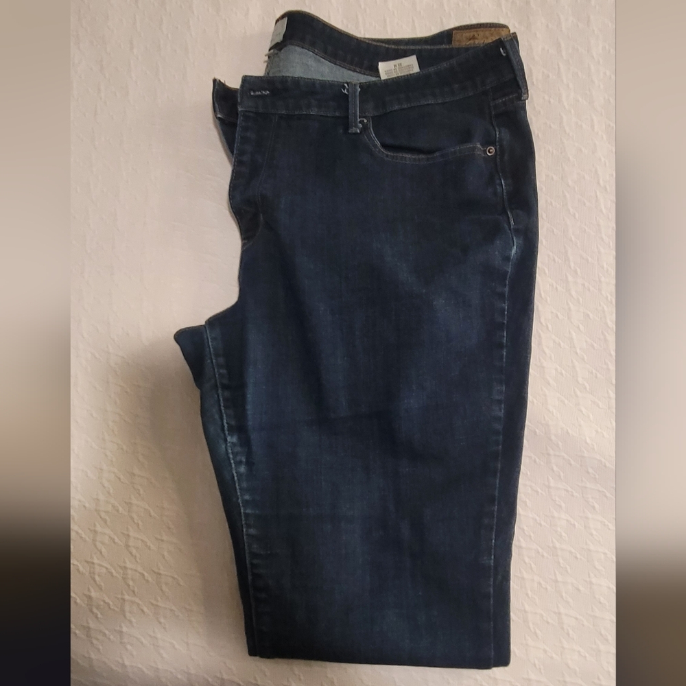 Women Plus size Slight Curve Blue Jeans